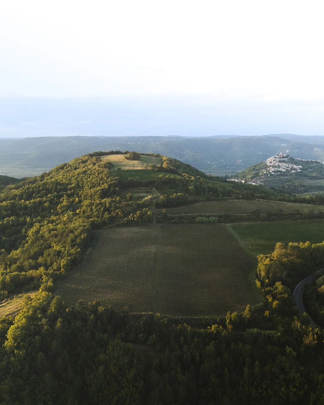 Pogled na brežuljke oko Motovuna