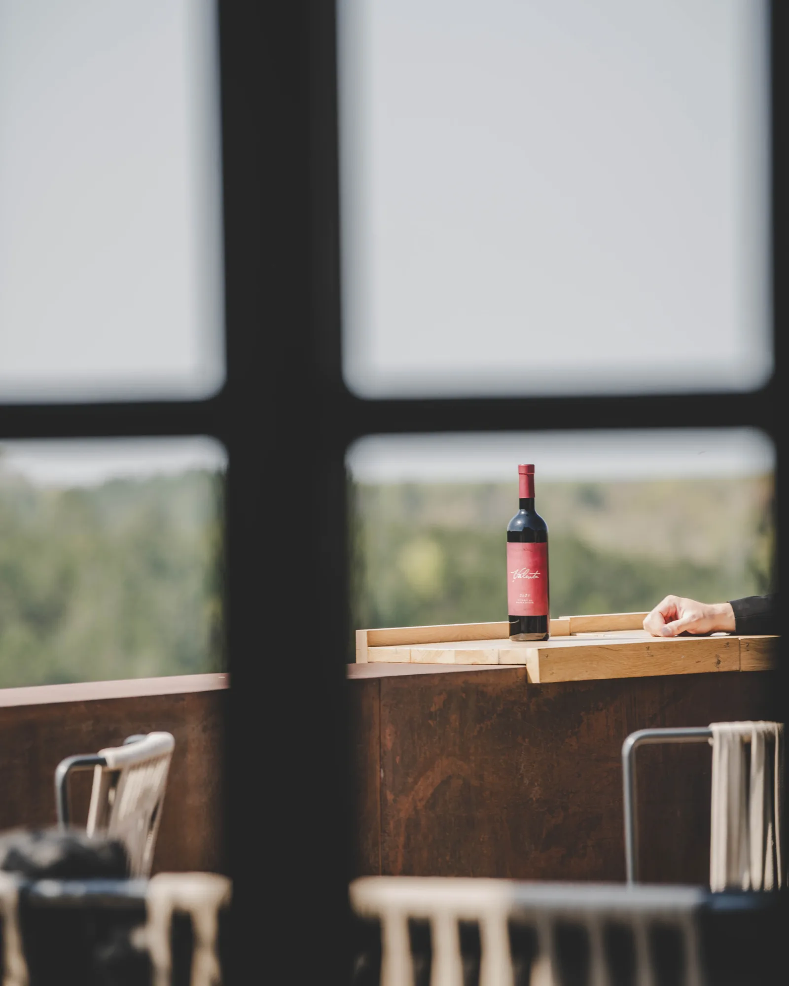 Sauvignon Blanc — Valenta vino u čaši