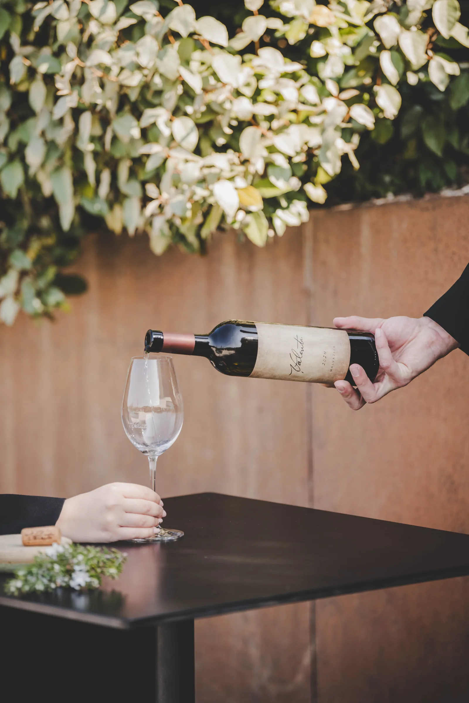 Malvazija Istarska — Valenta vino u čaši